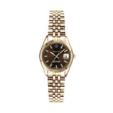 Sussex Mini-IPG, 28mm, gold/braun